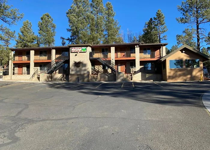 In The Pines Motel