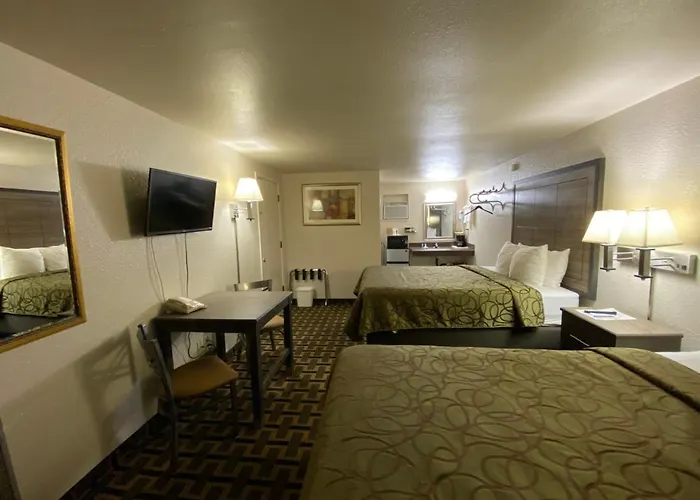 In The Pines Motel 2*