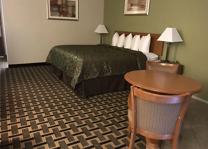 Motel In The Pines