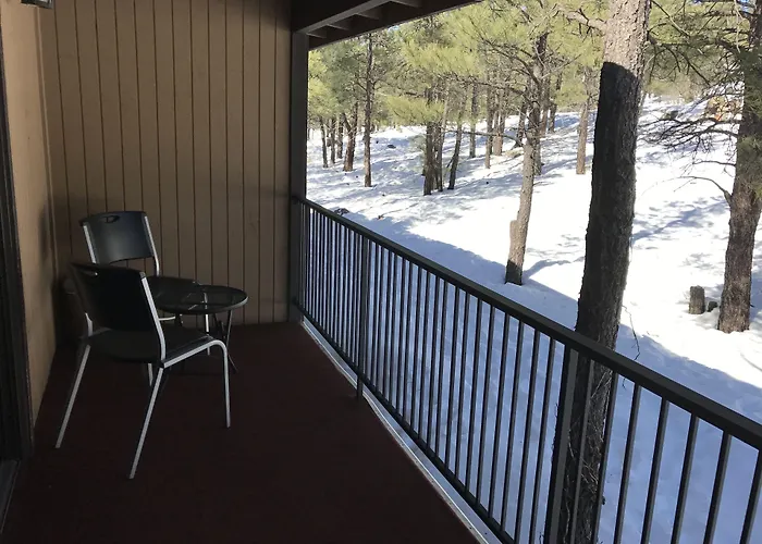 In The Pines Motel Munds Park