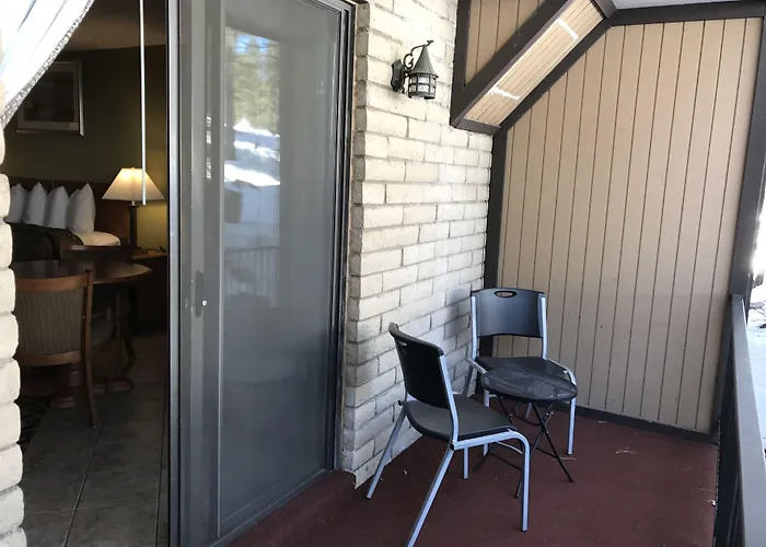 In The Pines Motel