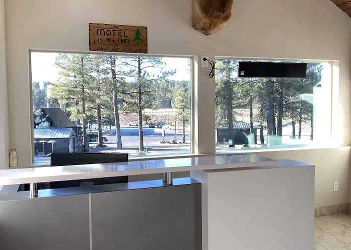 In The Pines