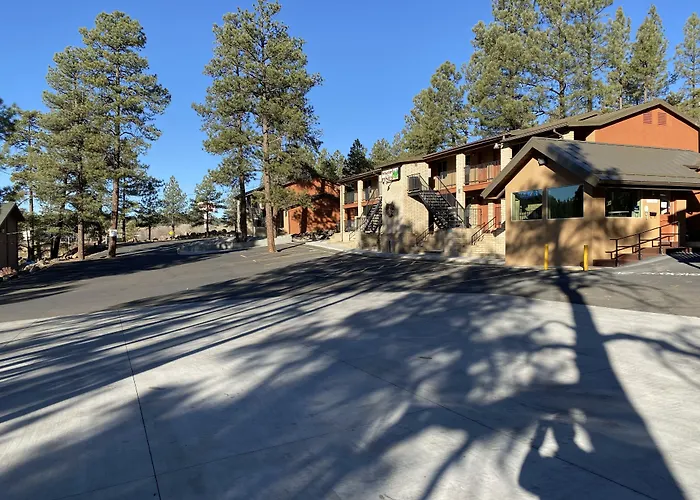 In The Pines Motel 2*