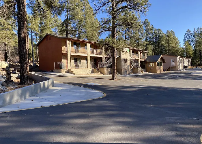 Motel In The Pines