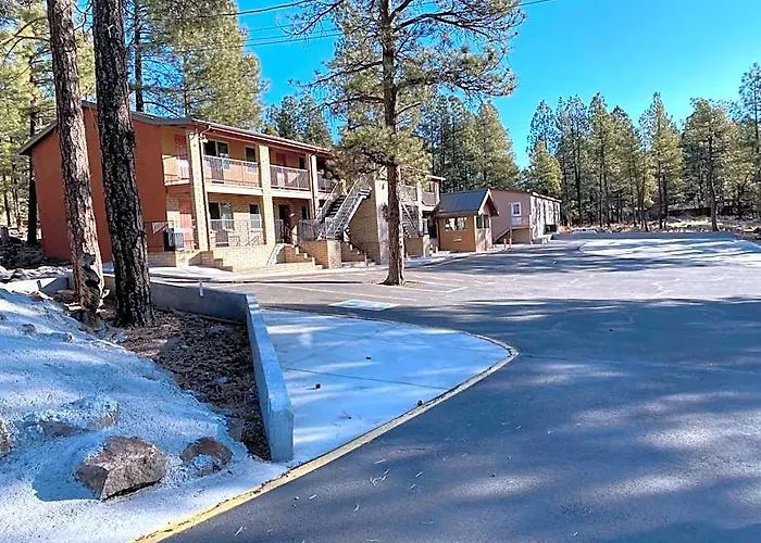 Motel In The Pines