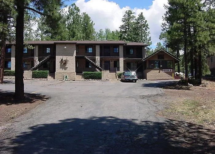 Motel In The Pines