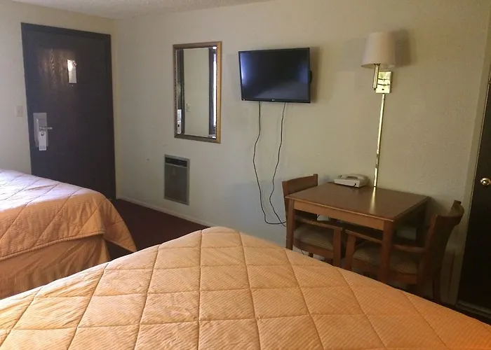 Motel In The Pines