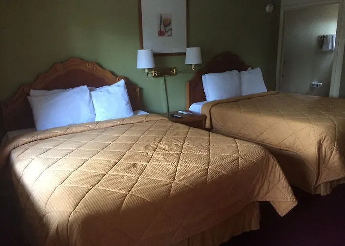 Motel In The Pines 2*
