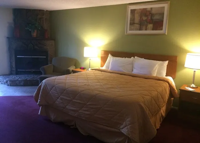 Motel In The Pines