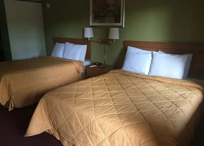 In The Pines Motel