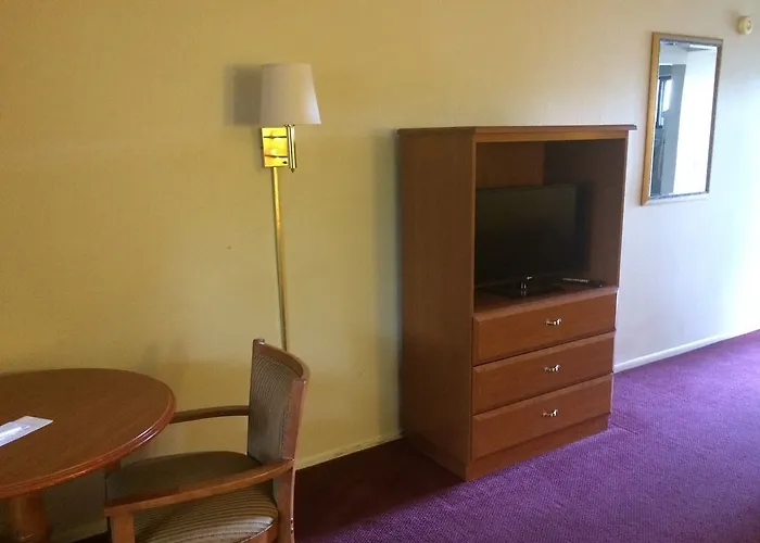Motel In The Pines